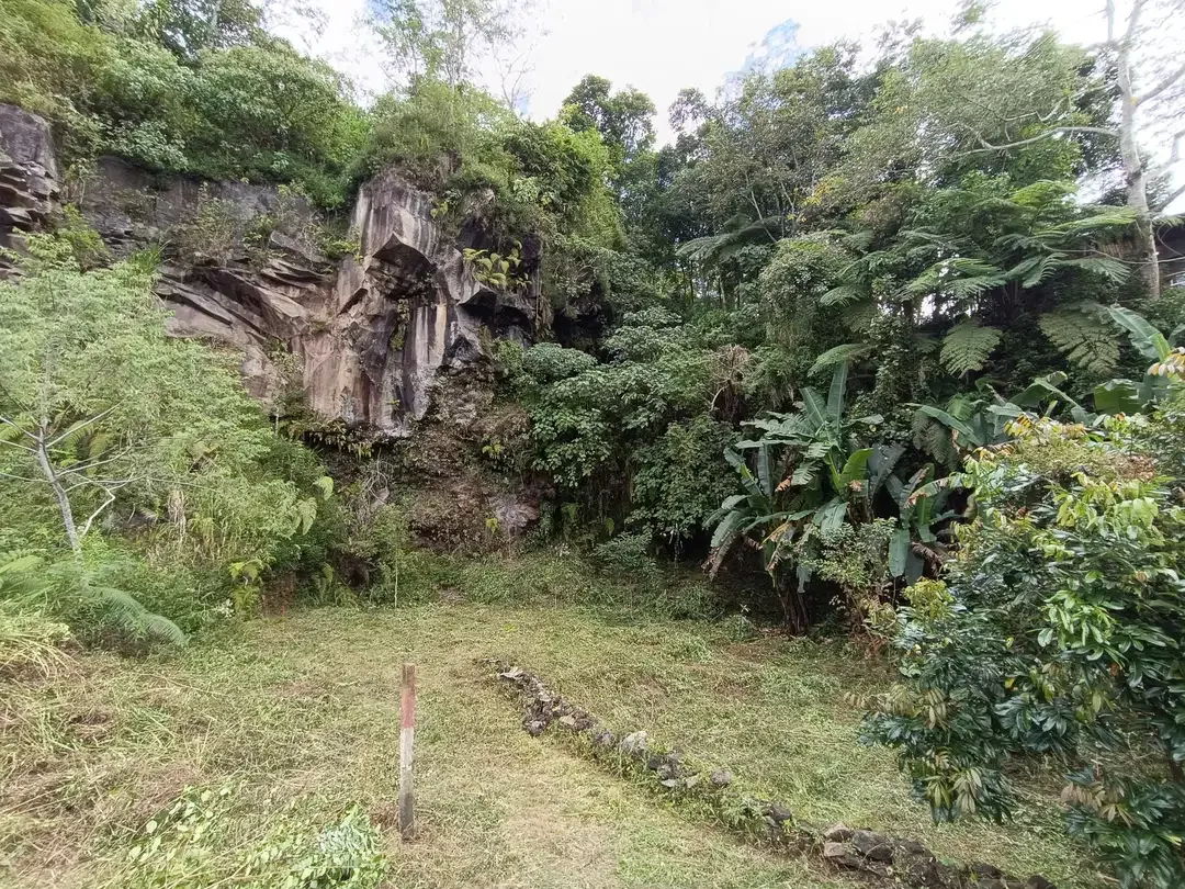 tanah murah di baturiti bedugul tabanan,dkt pasar sayur - Image 6 of 10