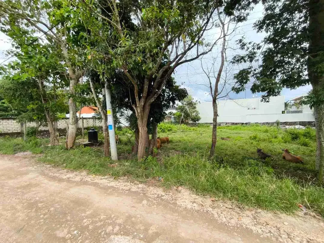 TANAH SEWA 19 ARE PANTAI CEMONGKAK, PECATU - Image 1 of 7