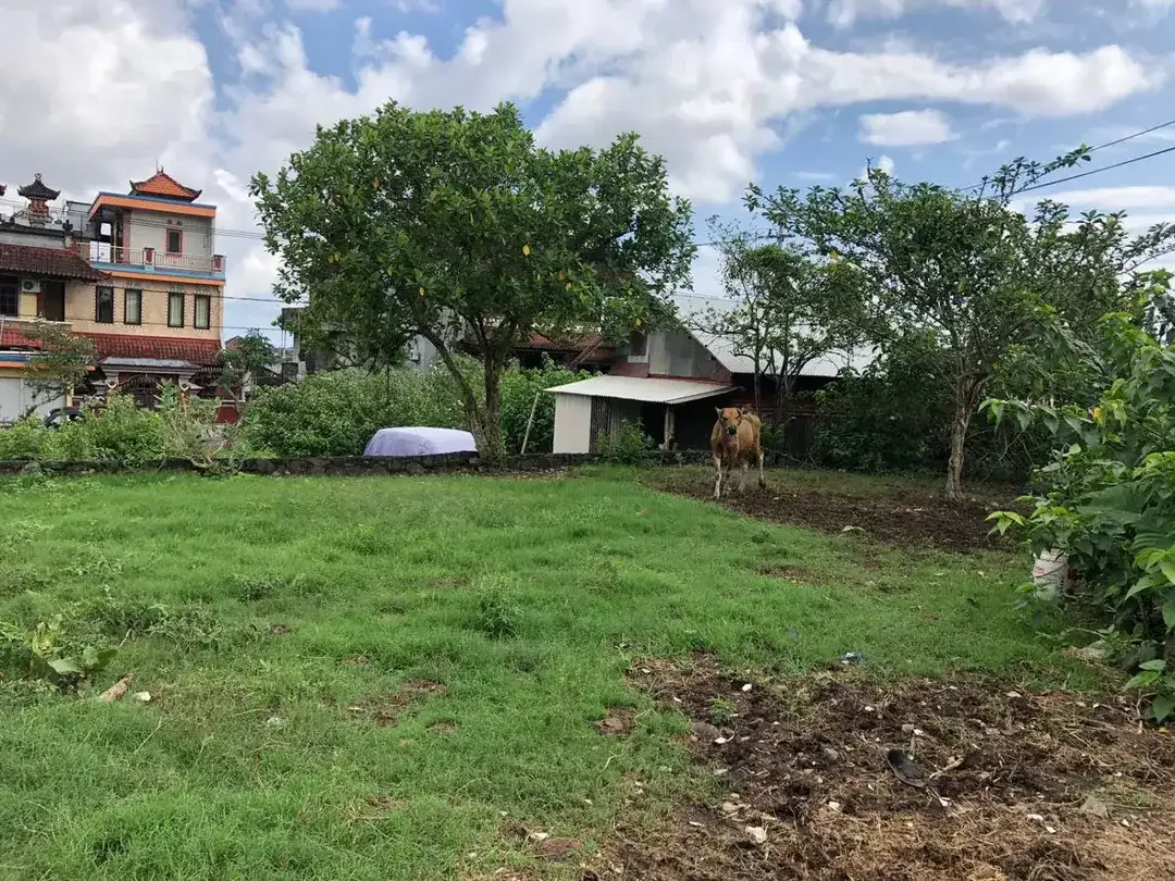 Freehold - Rare Opportunity! Land in commercial located in Ubung Kaja, Denpasar Utara, Bali - Image 2 of 9