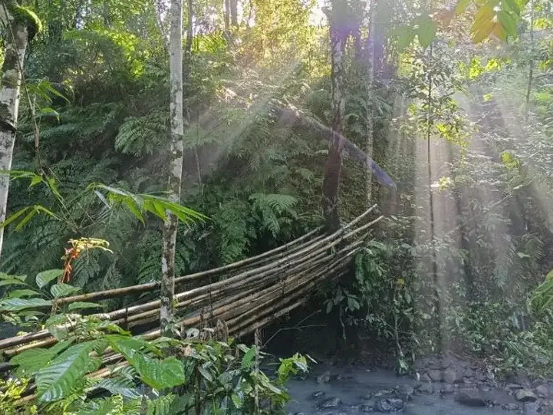 TANAH COCOK UNTUK RESORT DI WANAGIRI TABANAN - Image 2 of 10