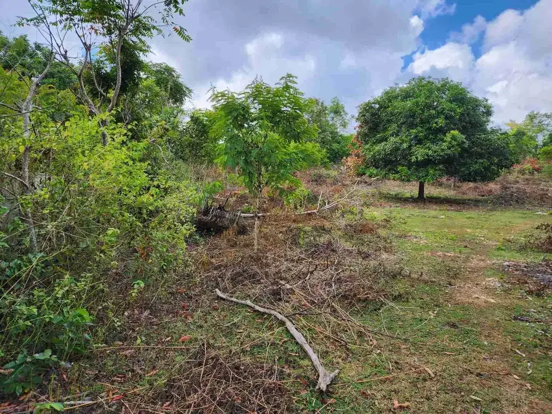 DIJUAL TANAH LUAS 2,34 HEKTAR DI KAWASAN AYANA JIMBARAN KUTA SELATAN BALI - Image 8 of 10
