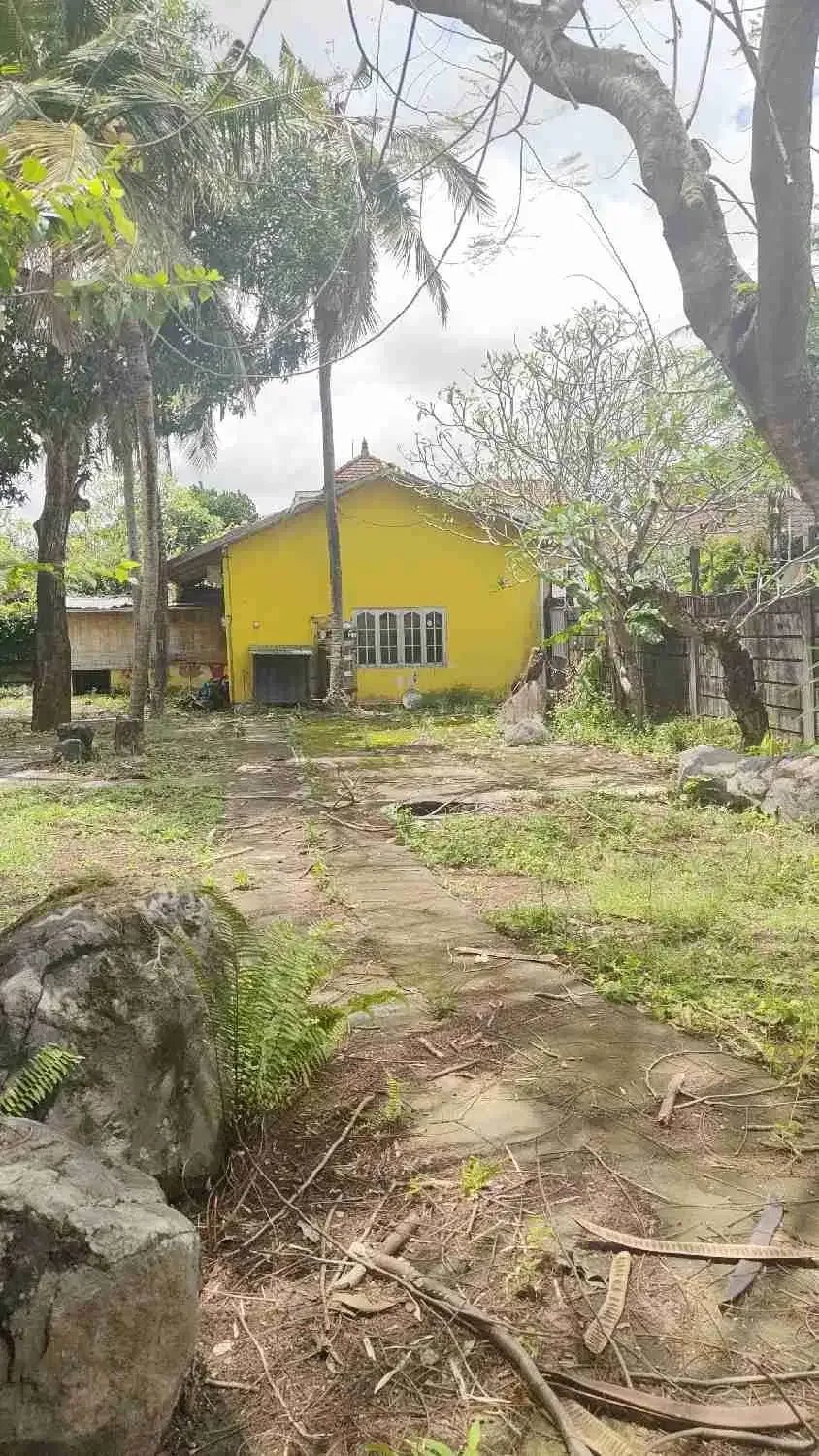dijual tanah premiun canggu - Image 5 of 7