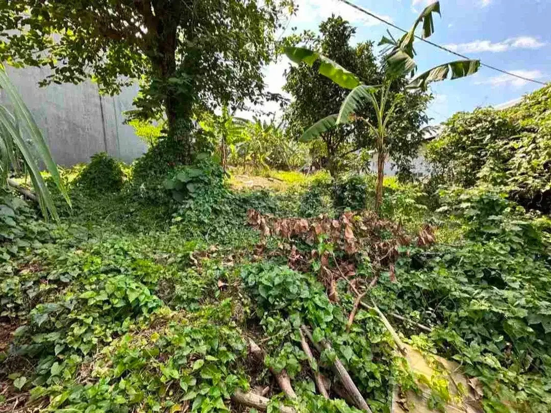 Di jual tanah luas 495 M2 di jalan cargo indah selatan Citraland Denpasar - Image 6 of 10