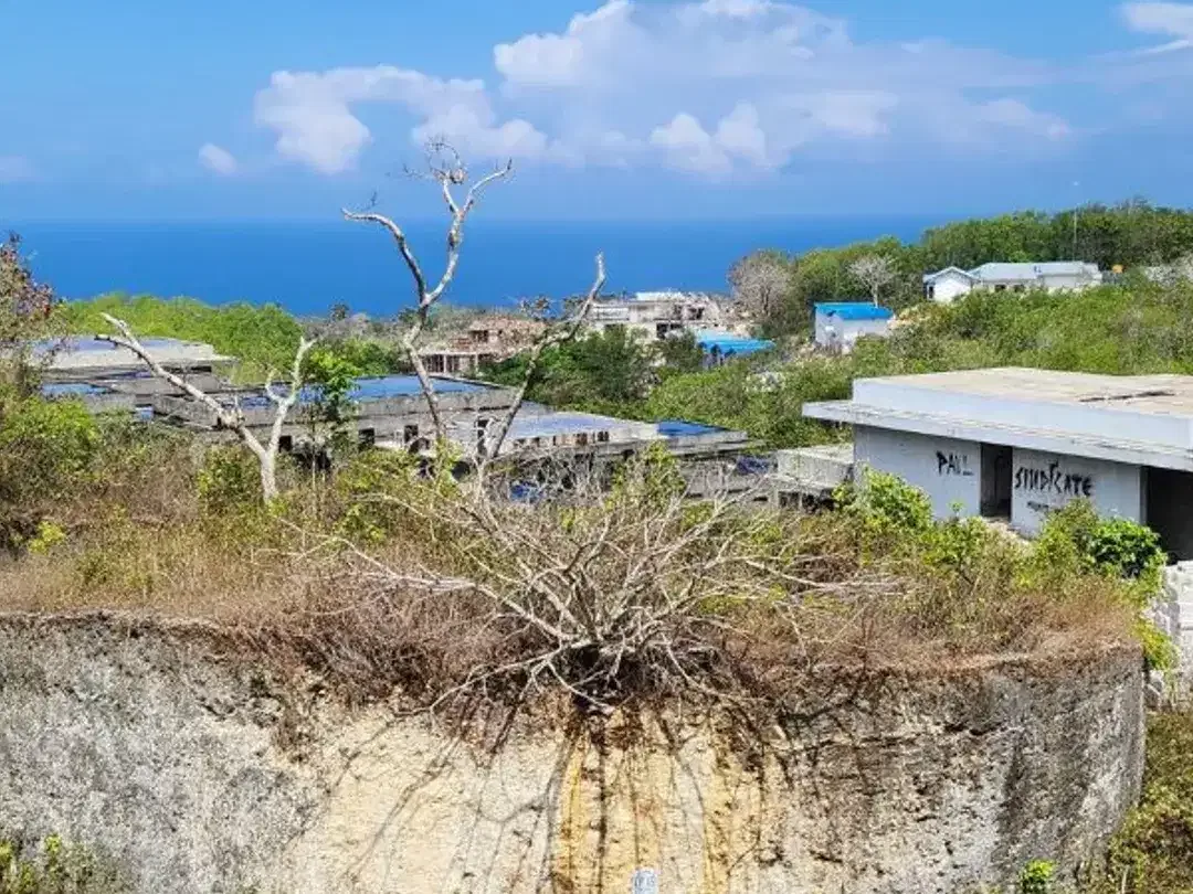 TANAH SIAP BANGUN OCEAN VIEW 1,64 HA DI BELIMBING SARI PECATU BADUNG, BALI - Image 6 of 10