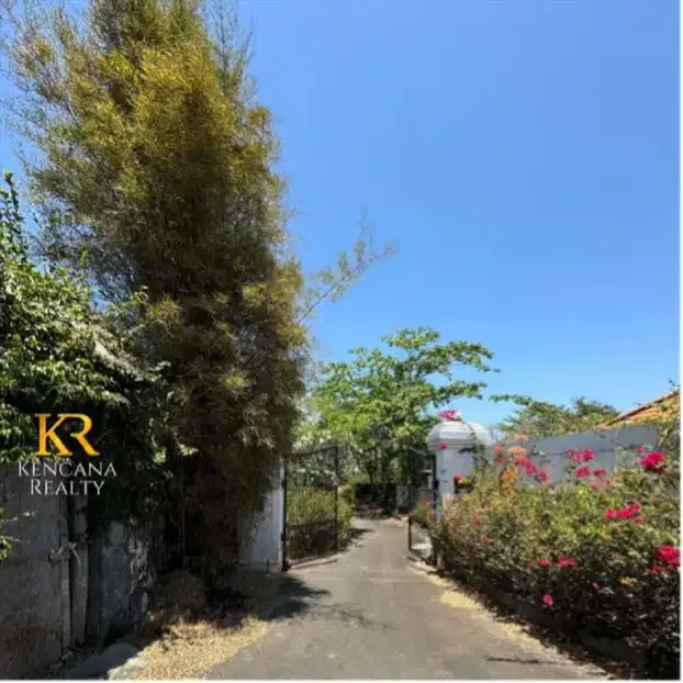 Jual Tanah Cliff Front Pandawa Pecatu Bali - Image 7 of 10