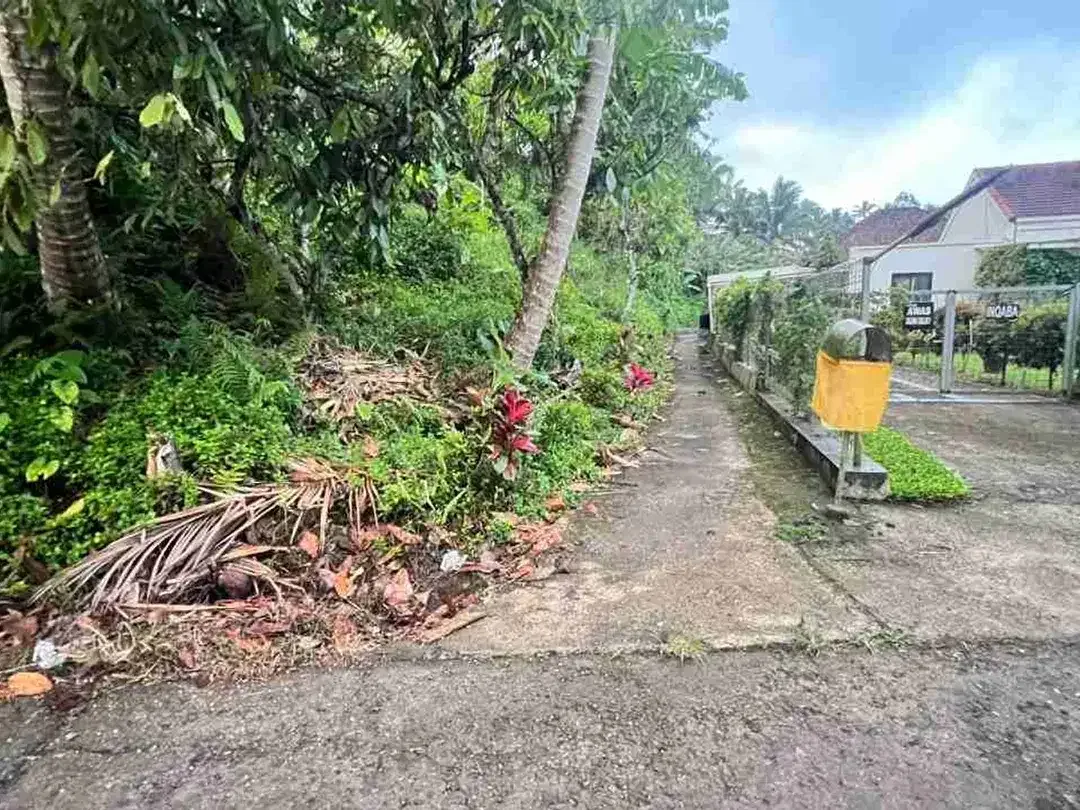 jual tanah luasan kecil view sawah area pemukiman di wanagiri selemadeg tabanan bali. - Image 9 of 10
