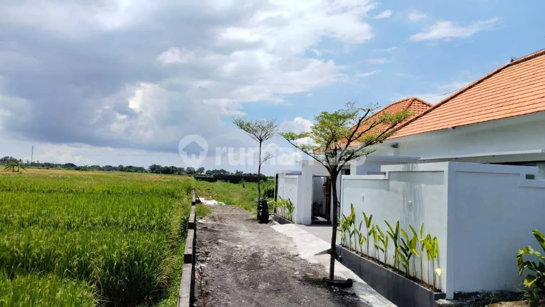 Disewakan Villa Baru Di Dekat Pantai Kedungu - Image 2 of 4