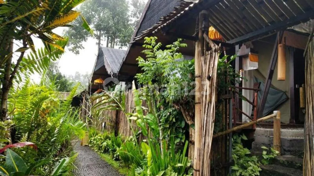 Glamping Jatiluwih Penebel Tabanan, Bali - Image 1 of 4