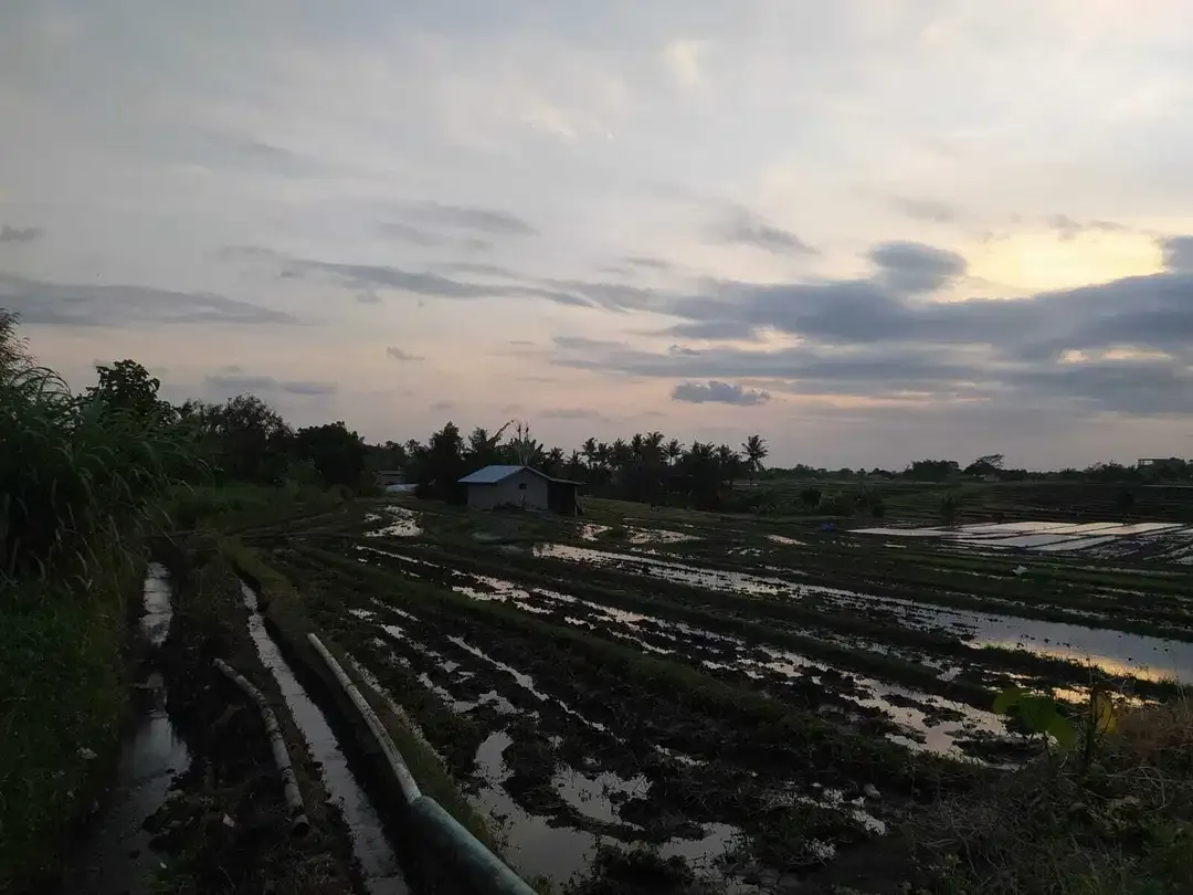 LAND FOR SALE NEAR TANAH LOT TABANAN - Image 9 of 10