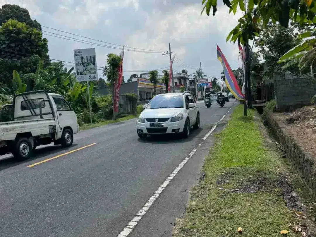 Dijual Tanah Strategis Jalan Raya Denpasar – Singaraja, Area Perean Luwus TABANAN BALI - Image 2 of 6
