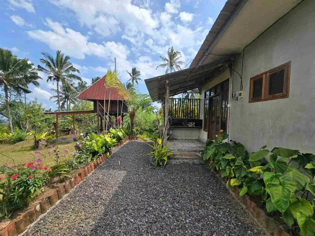Dijual tanah bonus villa dengan view gunung sawah dan lembah di bali - Image 5 of 10