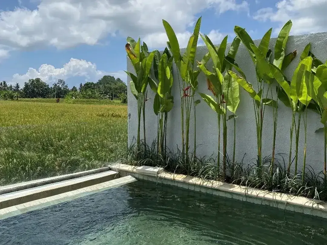 2 Bedroom Villa for sale in Ubud, Bali - Image 9 of 10