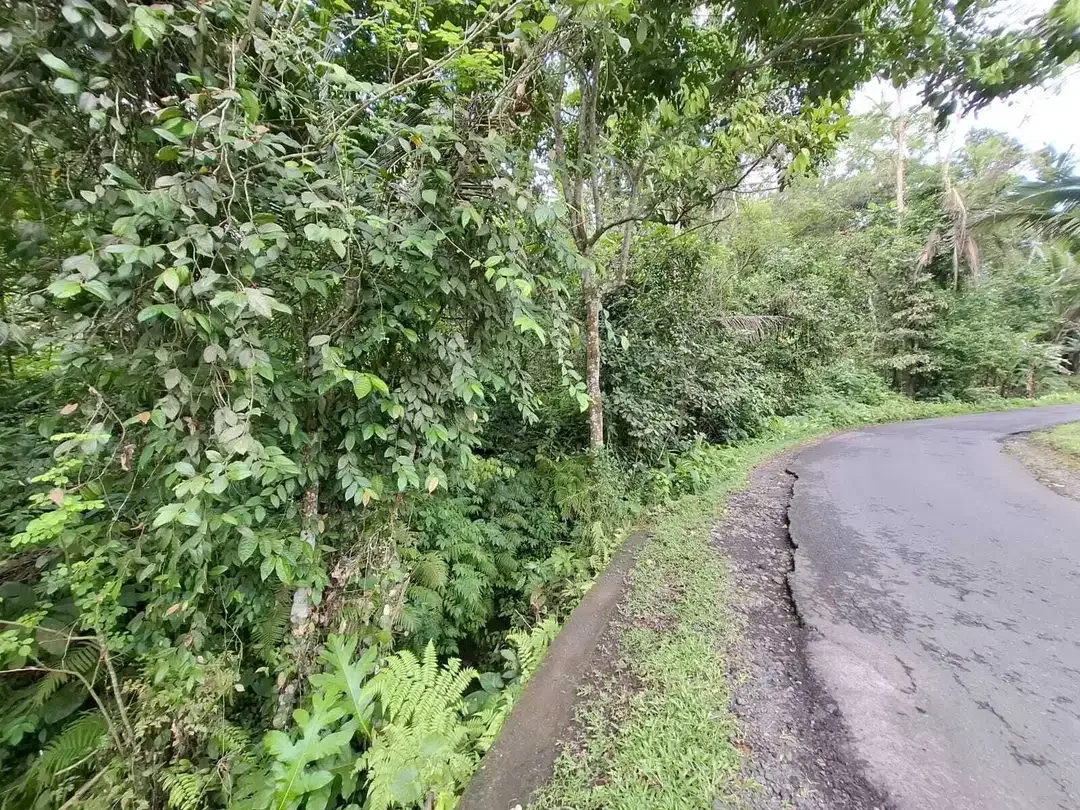 Dijual tanah kecil los sungai besar di tabanan bali - Image 5 of 8