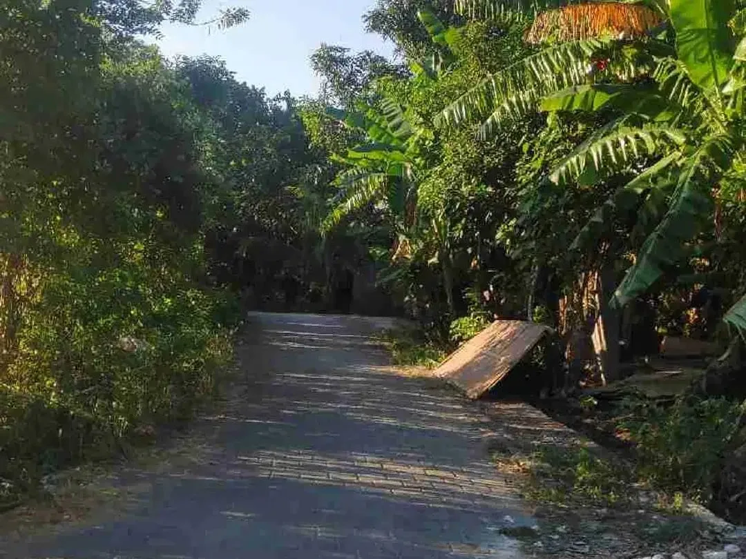 Tanah Kavling Cocok untuk Investasi, dibangun Rumah, Villa atau Guest House, Lokasi Strategis di Jimbaran, Badung dekat by pass - Image 7 of 10