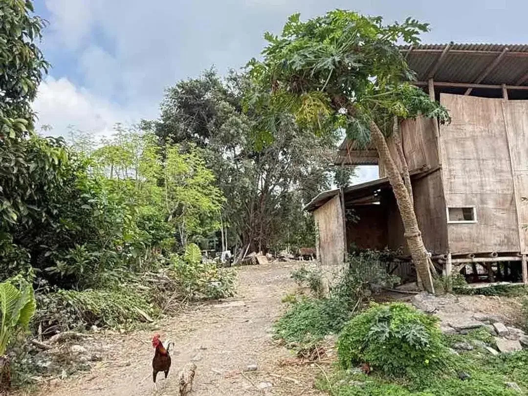 DIJUAL TANAH JIMBARAN BAWAH – DEKAT HARVEST LAND - Image 6 of 10