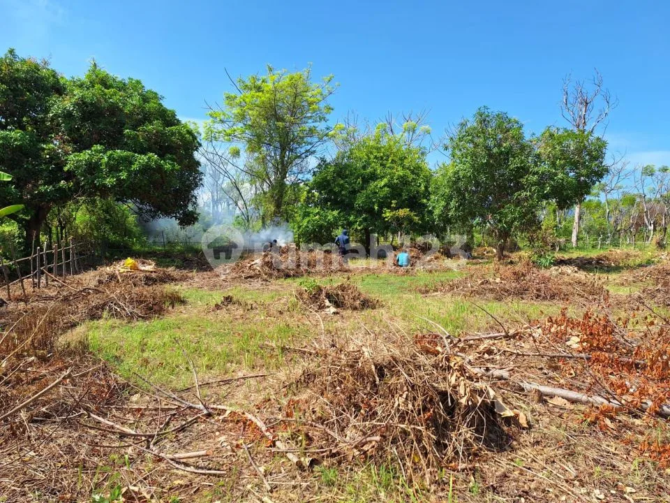 For Sale Land Fantastic View With Good Acces Just 50 Meter To The Beach - Image 4 of 4
