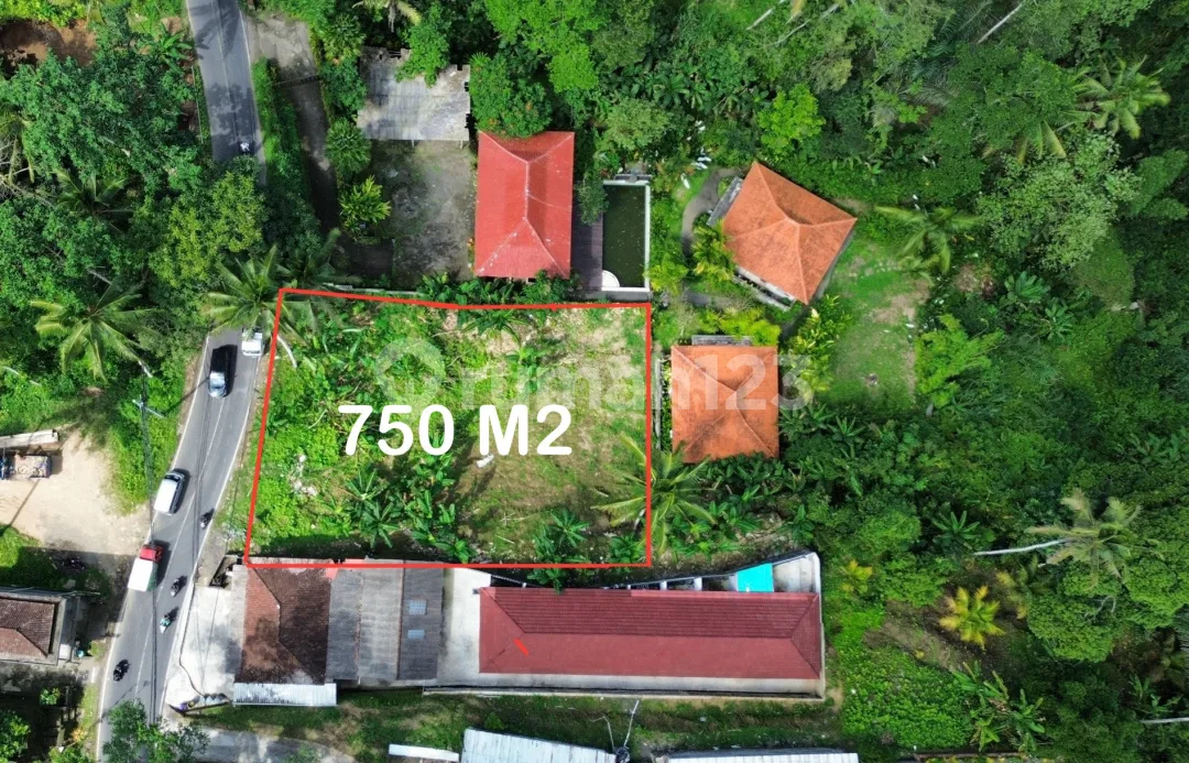 Dijual Lahan Premium Lokasi Hanya 1,5 KM Dari Capella Ubud SHM - Image 2 of 4