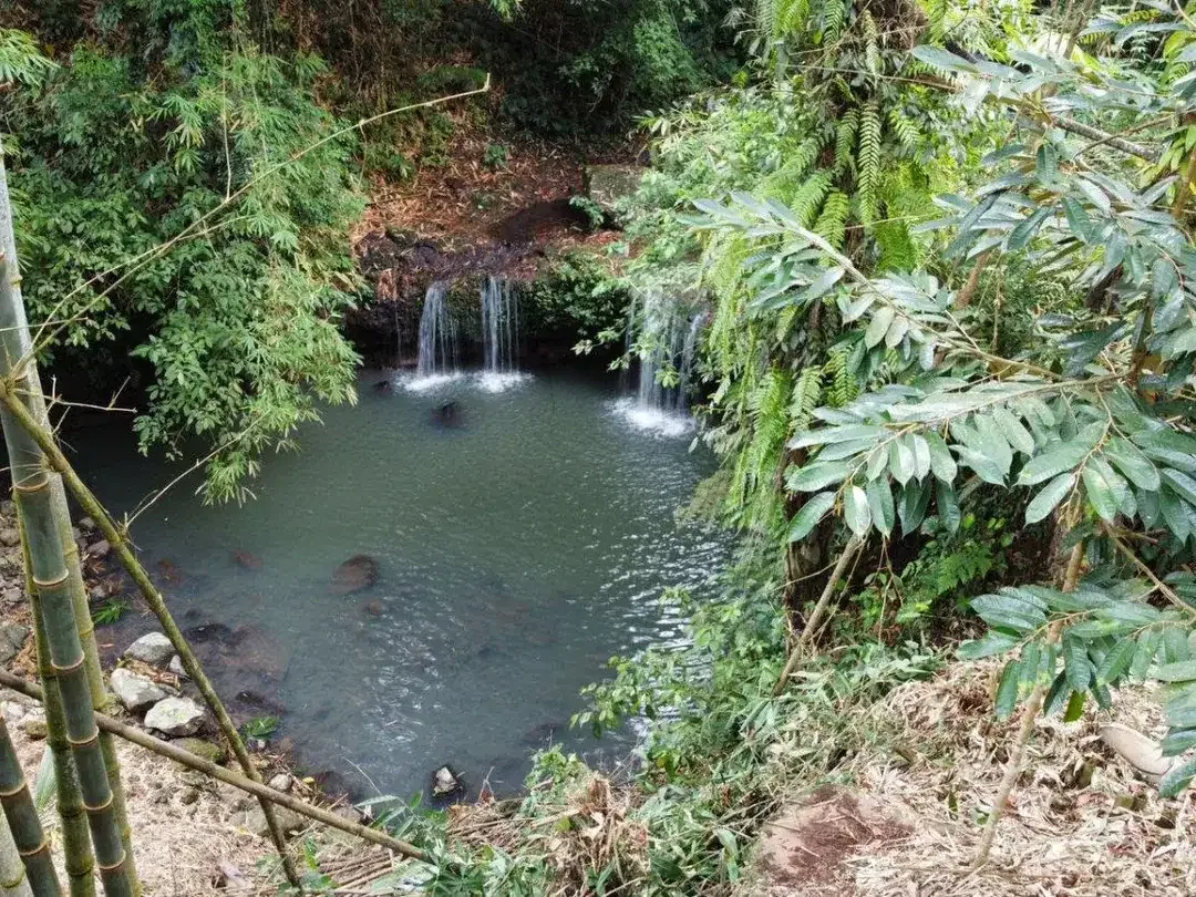 Tanah Tepi Air Terjun Wisata Gunung Salak Selemadeg Tabanan Bali - Image 6 of 9