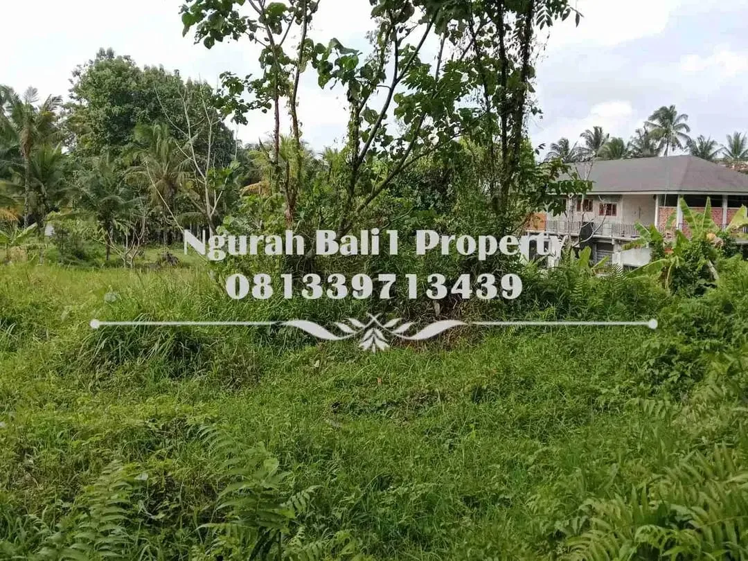 Murah Dijual Tanah Luas 10 Are Kawasan Villa di Ubud Pejeng - Image 2 of 5
