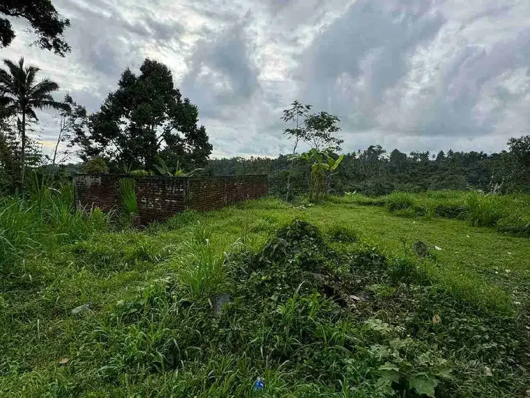Tanah Premium Jalan Utama Tegalalang Full View Jungle - Image 7 of 9