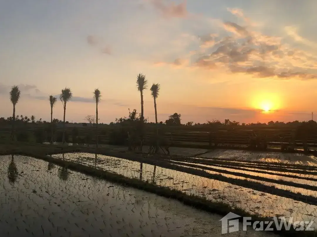 Land for sale in Kediri, Bali - Image 5 of 6