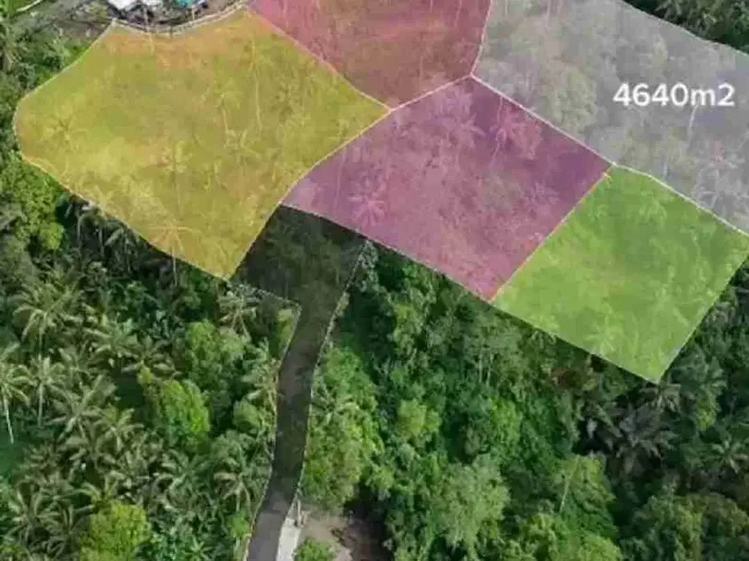 PRIME LOCATION IN WOS RIVER NEAR CAPELLA RESORT UBUD - Image 8 of 10