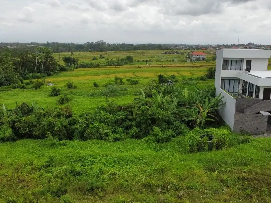 Tanah Ocean View Dekat Pantai Cemagi - Image 4 of 10