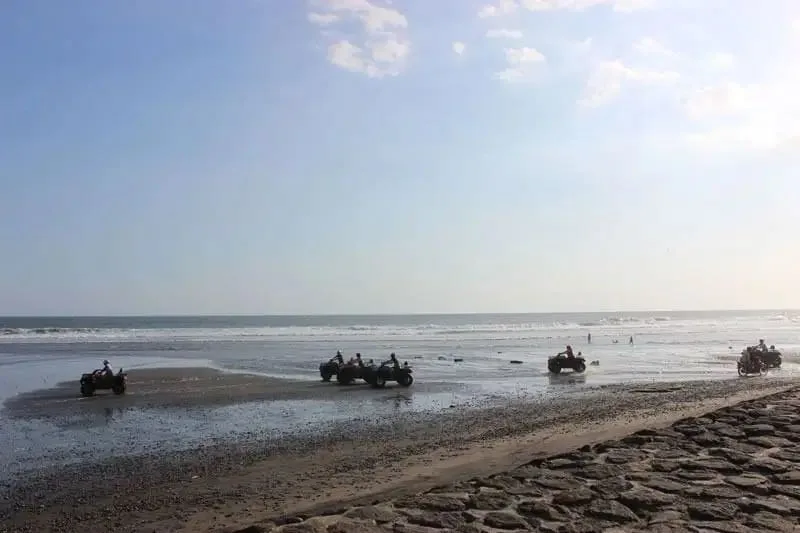 JUAL TANAH LUAS LOS PANTAI BERABAN TABANAN BALI - Image 5 of 10
