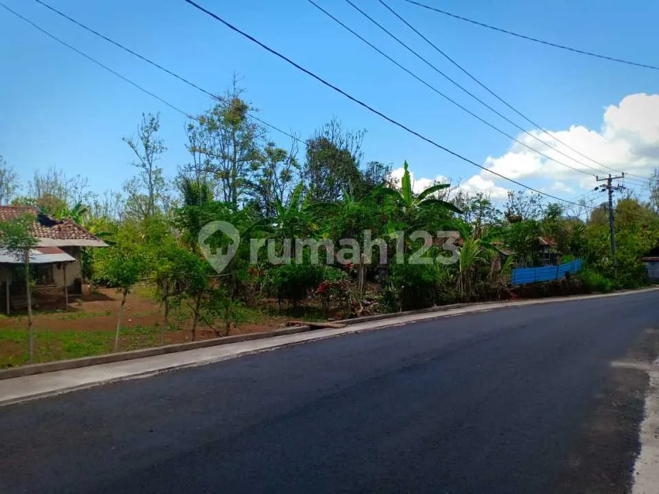 Tanah SHM Murah Pinggir Jalan Dijual Bu di Bali Utara - Image 2 of 4
