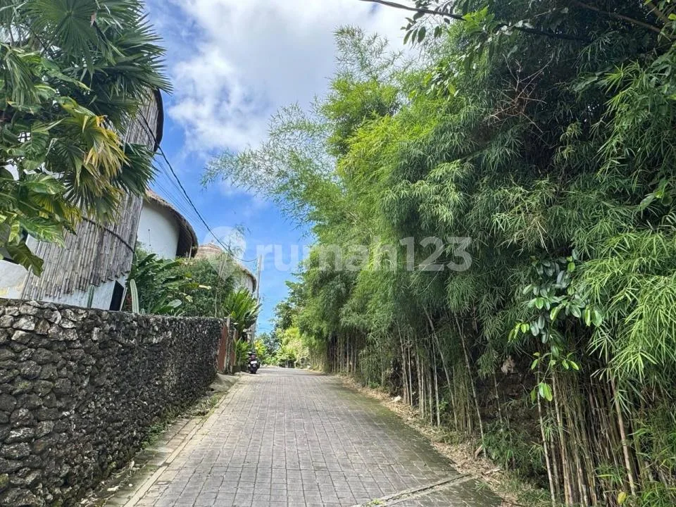 Land With Ocean View In Jalan Kahuripan, Pecatu Dreamland - Image 3 of 4