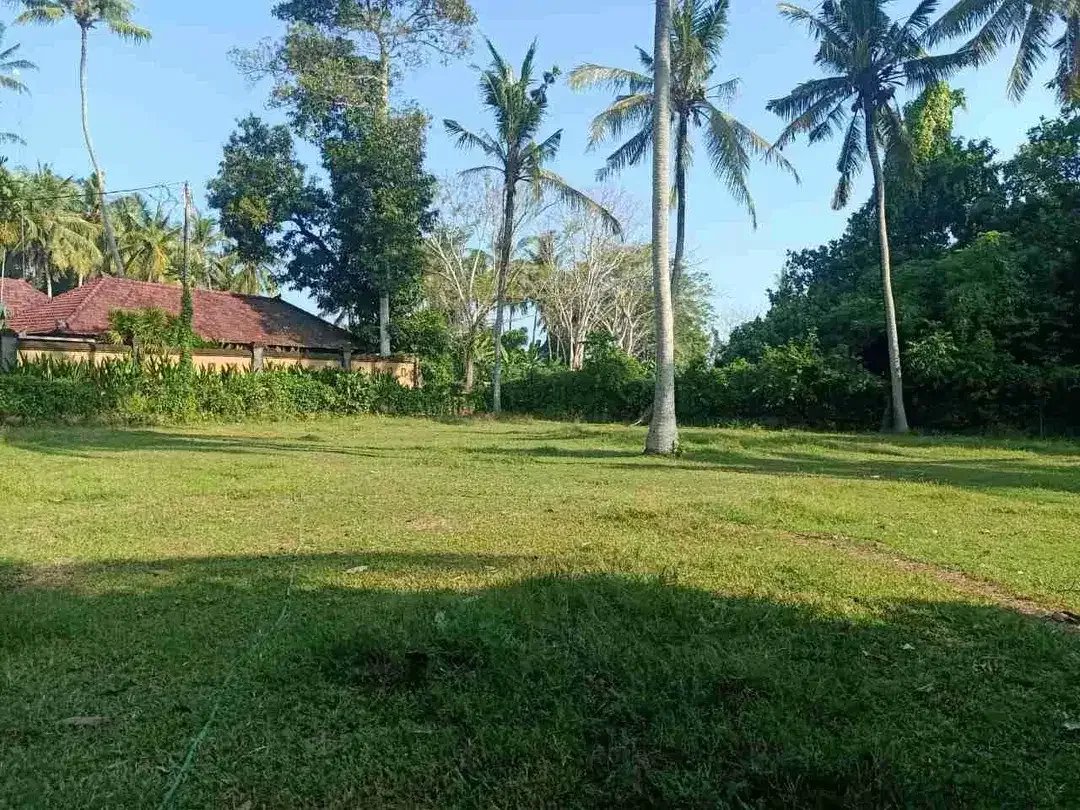 Dekat Pantai Pasut! Lahan Komersial 800m² Harga Menarik - Image 1 of 10