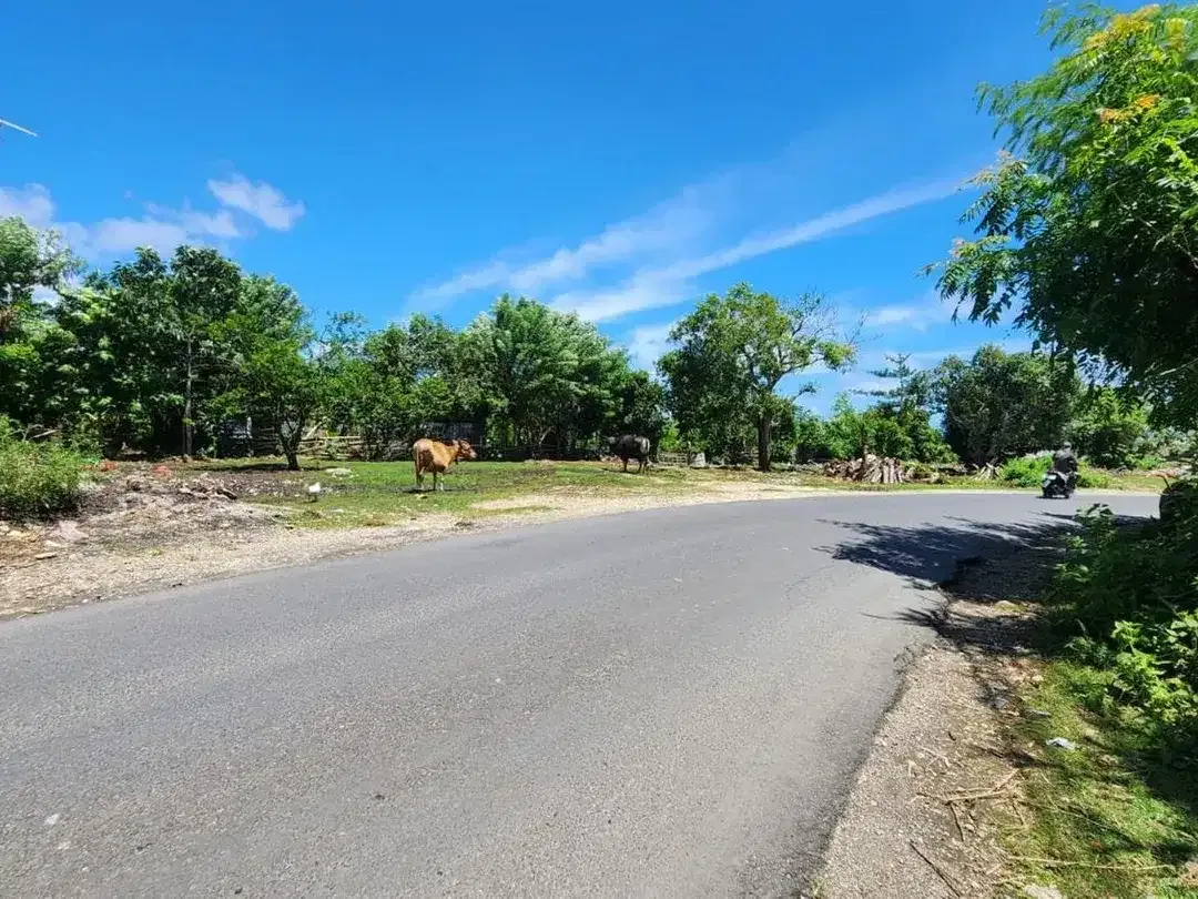 Land Premium Location For rent, Melasti Area. - Image 4 of 6