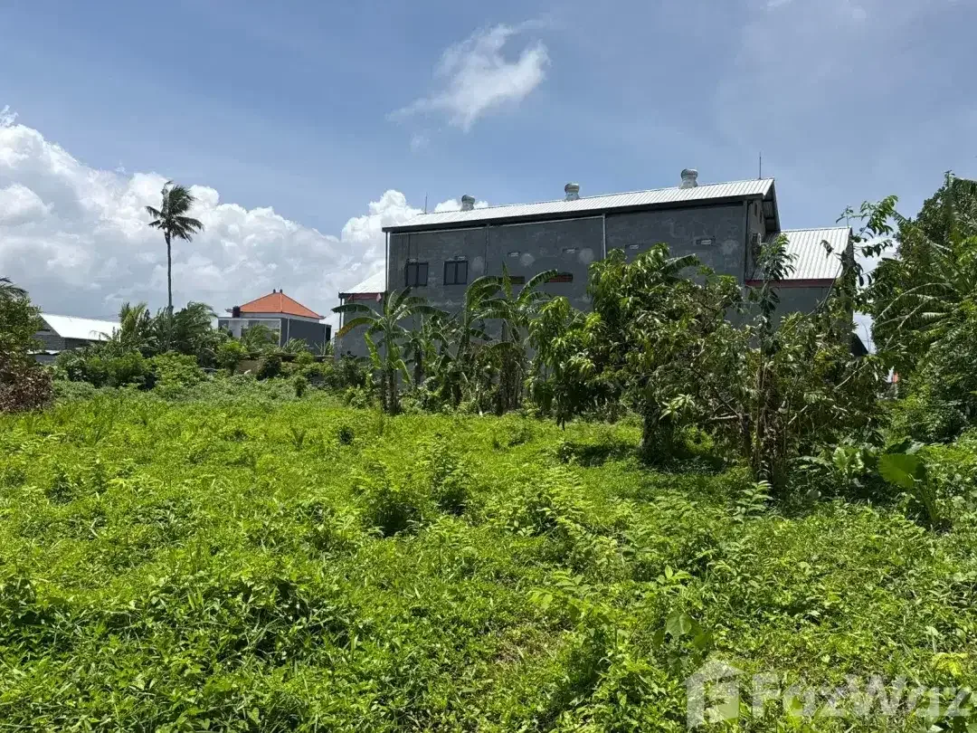 Land for sale in Kedungu, Bali - Image 5 of 10
