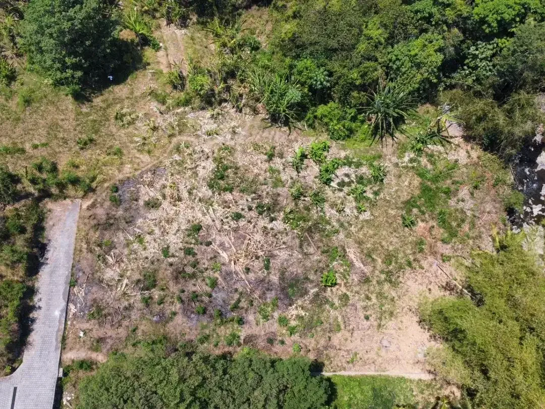 Dijual Tanah Strategis di Pantai Nyanyi Tabanan Bali - Image 4 of 7