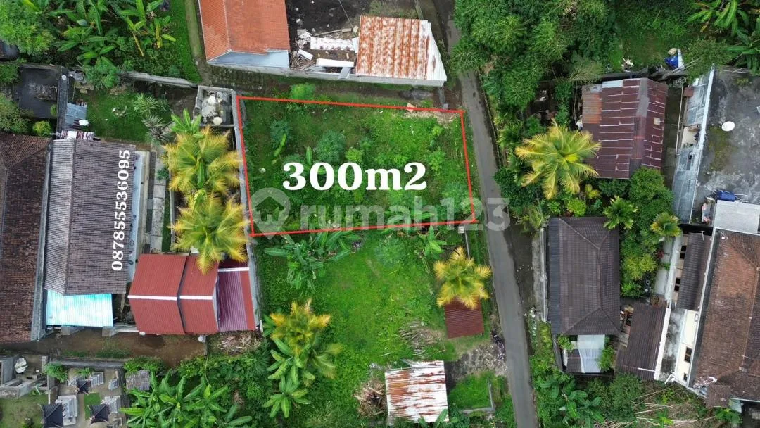 Dijual Murah Buc Tanah Ubud, Tampaksiring Area Sejuk Nyaman Asri - Image 4 of 4