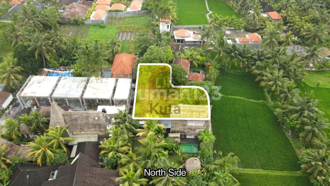 Tanah Murah Siap Bangun Di Ubud Dekat Ke Central Ubud Area Nyaman Cocok Untuk Villa Ada View Sawah - Image 4 of 4
