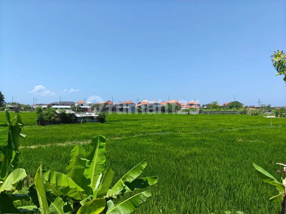 Brand New Premium 4 Bedrooms Residence With Ricefield View In Renon, Near Sanur - Image 4 of 4