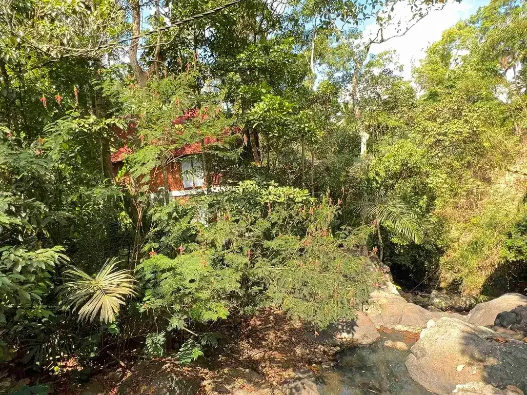 jual tanah kebun durian area villa Los sungai di manikyang selemadeg tabanan bali. - Image 3 of 10