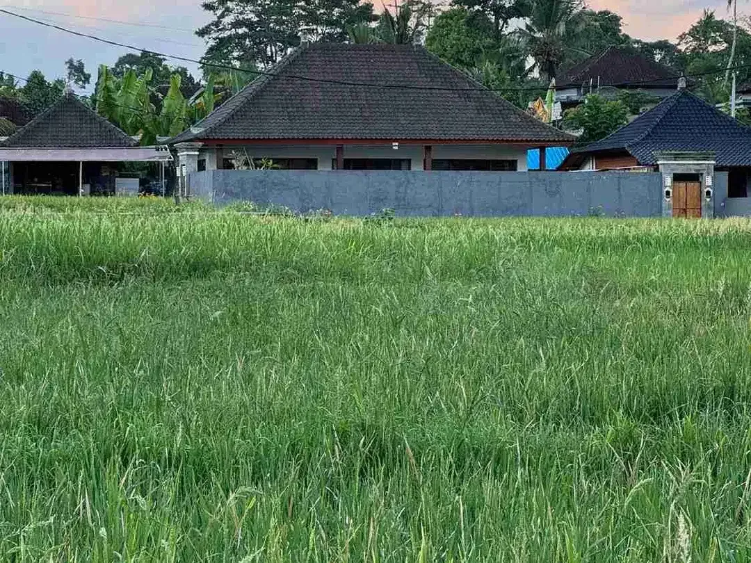 Lahan Premium View Sawah dan Jungle Area Tirta Tawar Ubud - Image 1 of 10