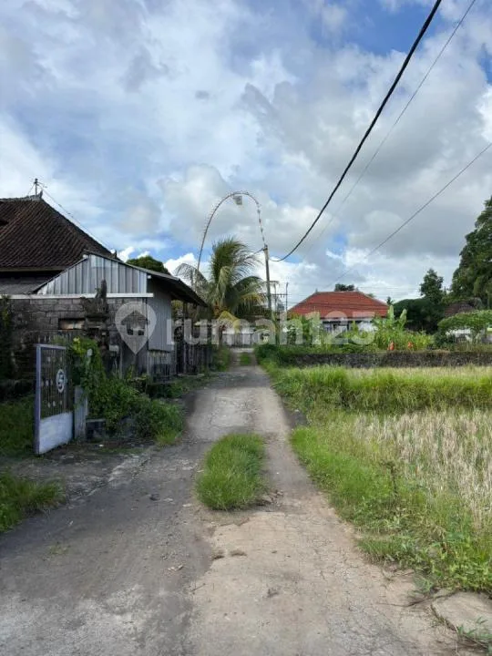 Dijual Tanah Lokasi Ubud / Jln. Tatiapi Kelod - Ubud Bali - Image 2 of 4