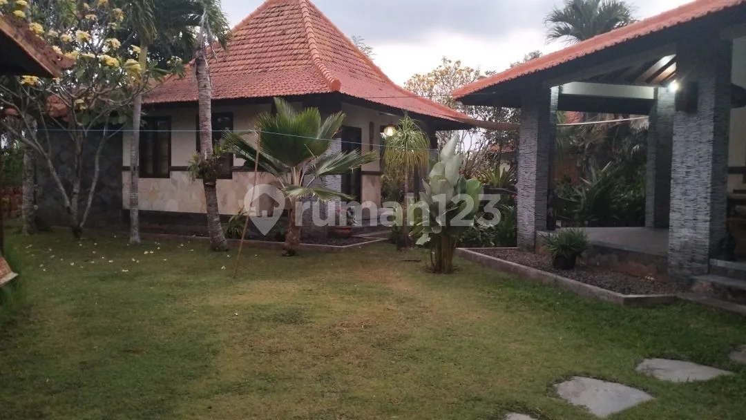 Villa cantik view sawah Pantai Pering Blahbatuh Gianyar Villa - Image 4 of 4