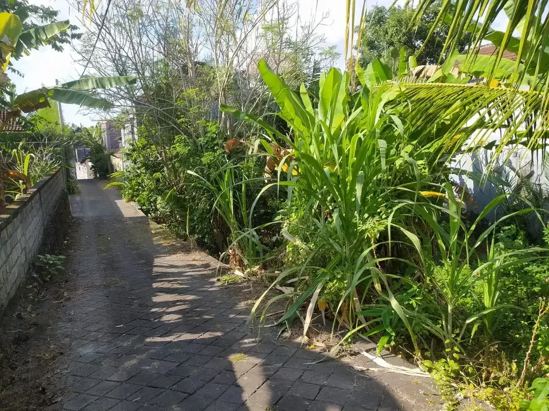 DIJUAL TANAH DI TIYING TUTUL CANGGU - Image 6 of 6