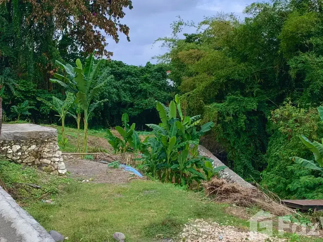Land for sale in Kerobokan, Bali - Image 6 of 10