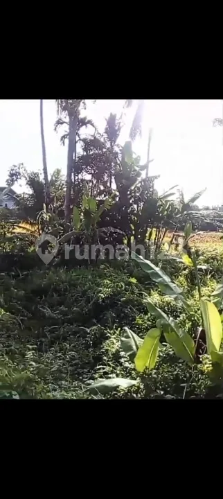 Tanah Murah Lingkungan Wissta Yg Nyaman di Ubud - Image 1 of 4