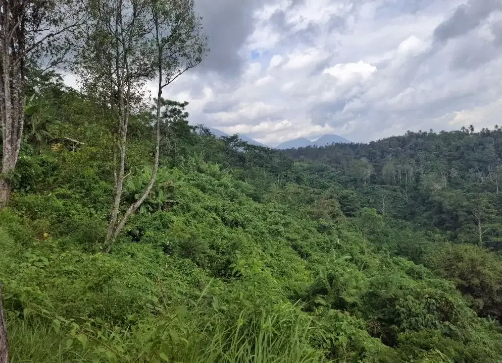 Dijual tanah los sungai besar dan view air terjun, gunung dan sawah - Image 4 of 10
