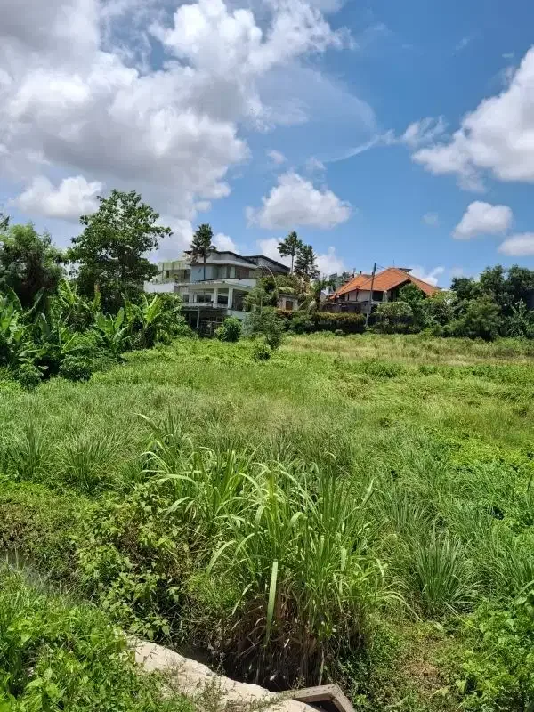 tanah kontrak di kedampang zona kuning - Image 3 of 6