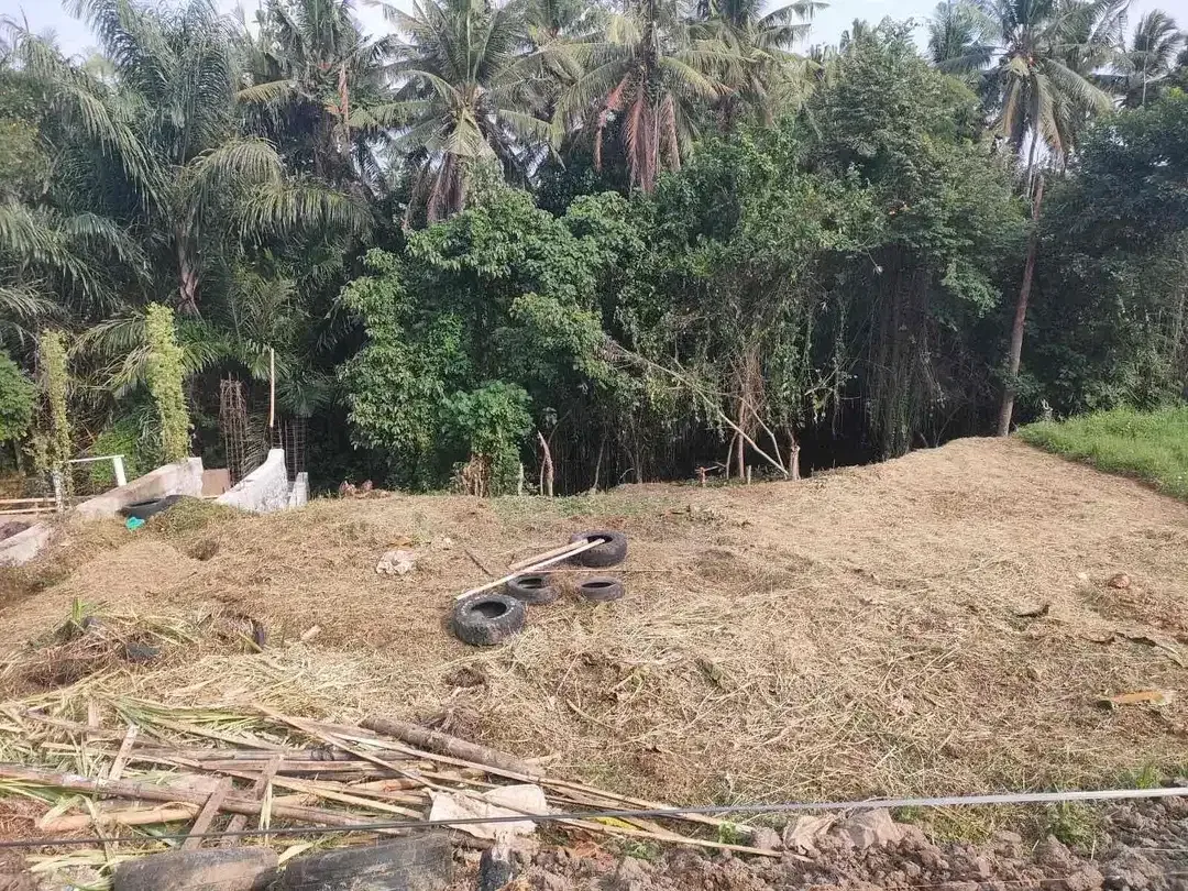 SMALL PLOT RICE FIELD , JUNGGLE AND RIVER VIEW AT SINGAPADU UBUD GIANYAR - Image 7 of 10