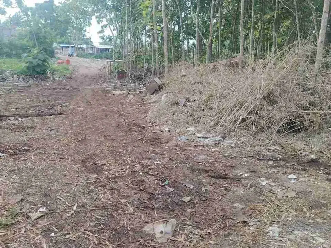Di jual lahan baru di buka desa kutuh Badung sangat cocok untuk komersil bisa ambil plot kecil - Image 1 of 8