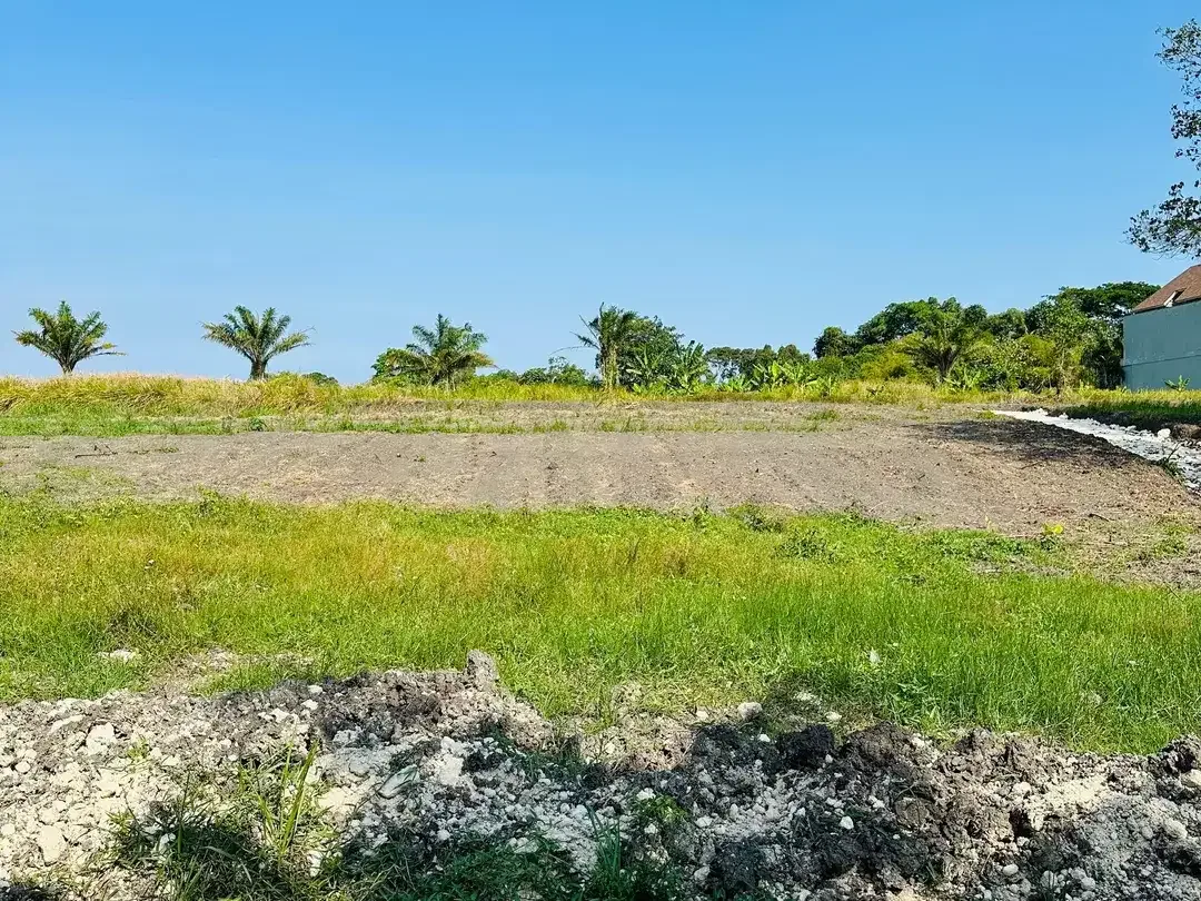 10 Menitan Canggu Tanah Dijual View Sawah, Sunset, Sunrice, Mountain - Image 10 of 10