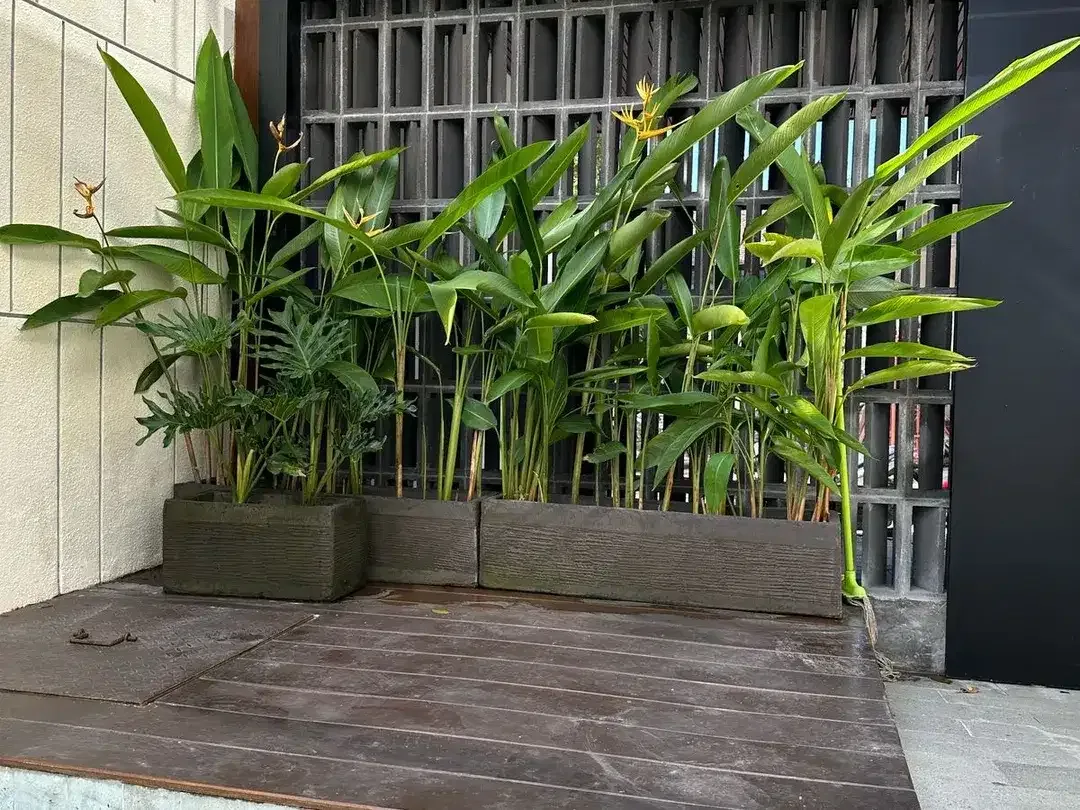 Villa Strategis Modern Tropical  Banjar Semer Kerobokan Bali - Image 8 of 10